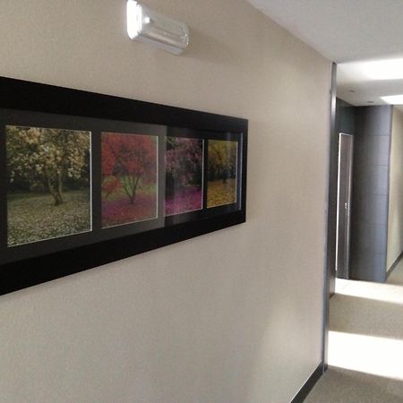 Hotel Adelma โอซนาโย ภายนอก รูปภาพ